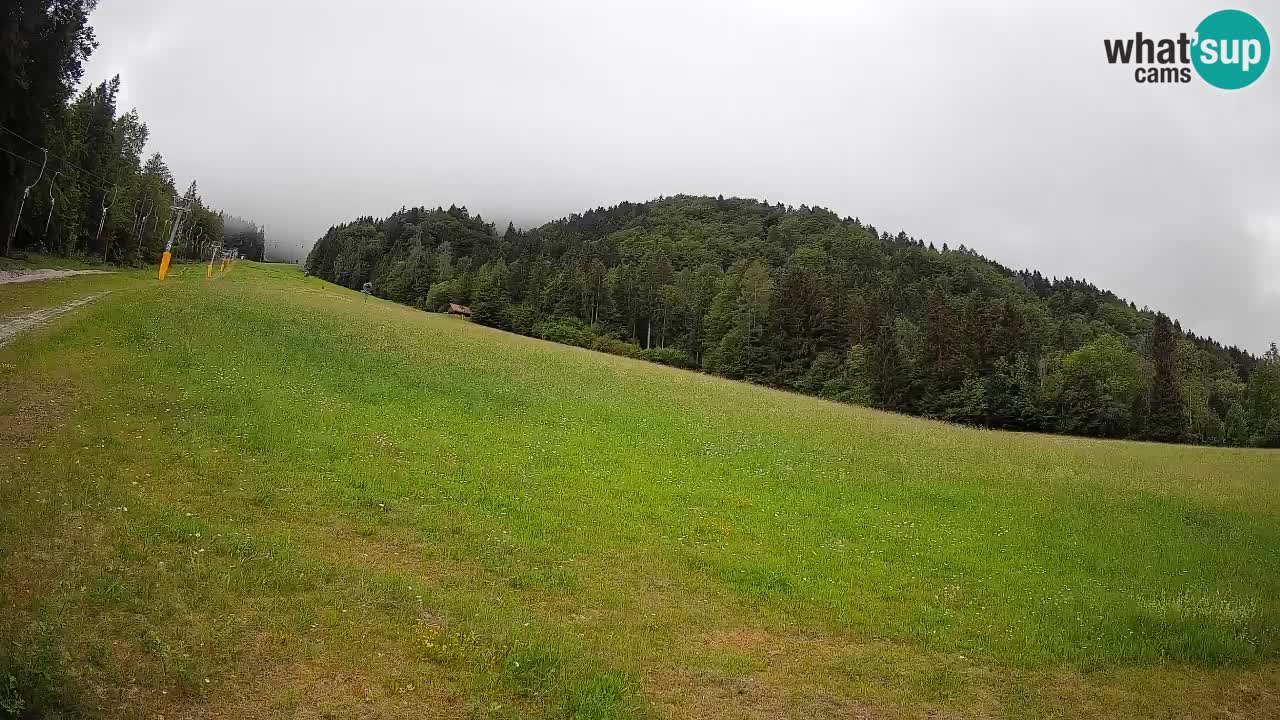 Ski Kranjska Gora | Brsnina