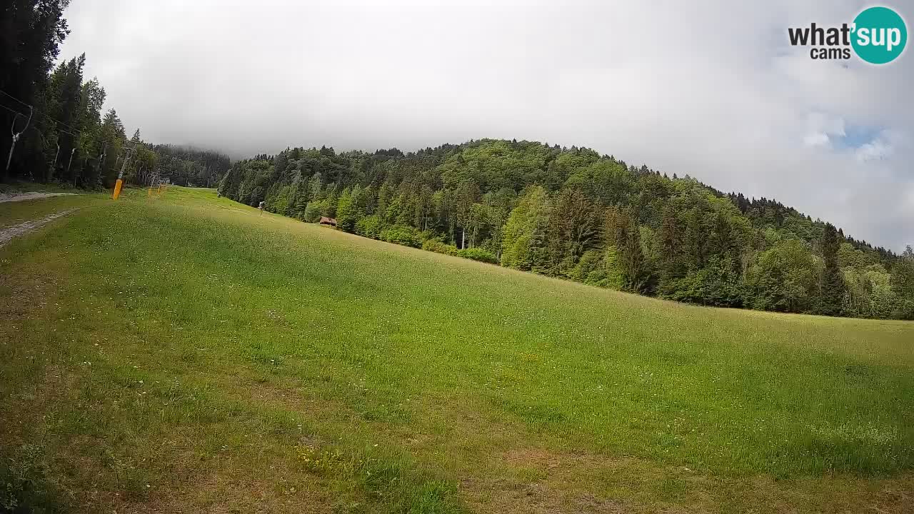 RTC Skigebiet Kranjska Gora | Brsnina