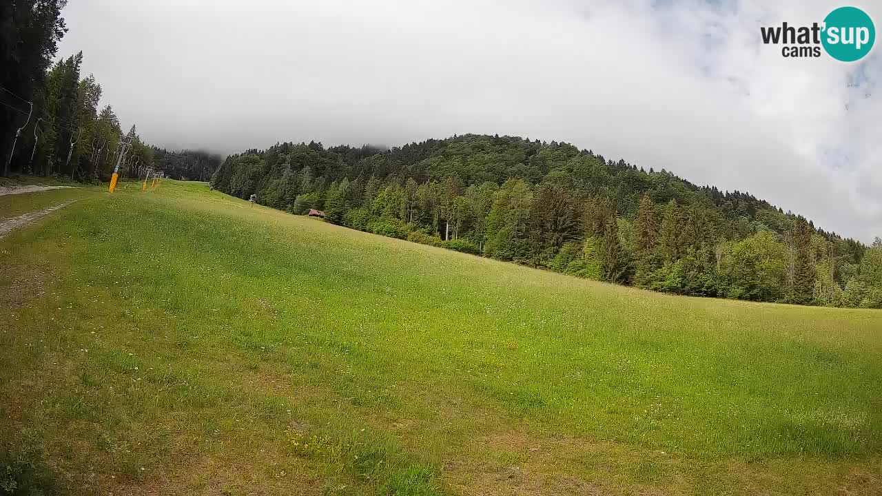 Ski Kranjska Gora | Brsnina