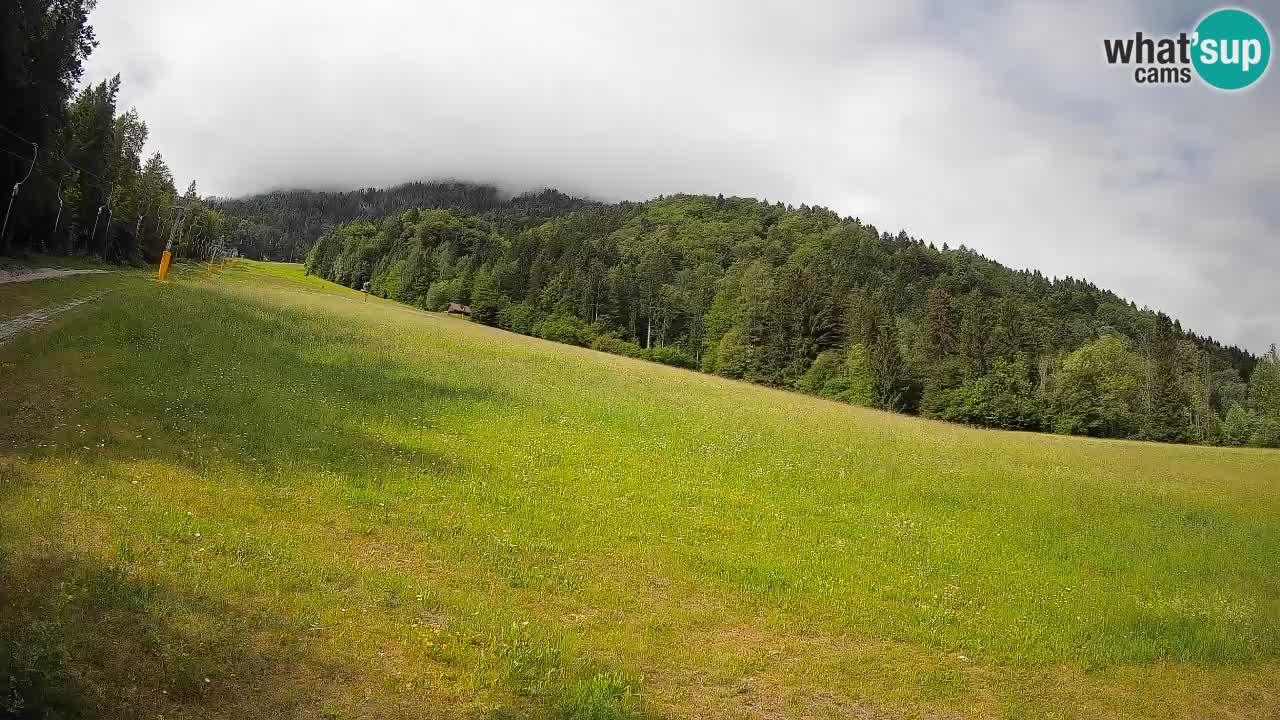 Comprensorio sciistico Kranjska Gora | Brsnina