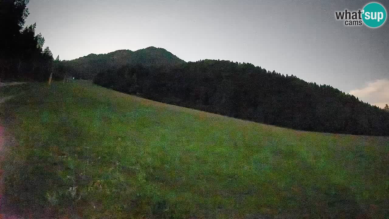 Kranjska Gora SKIJANJE | Brsnina