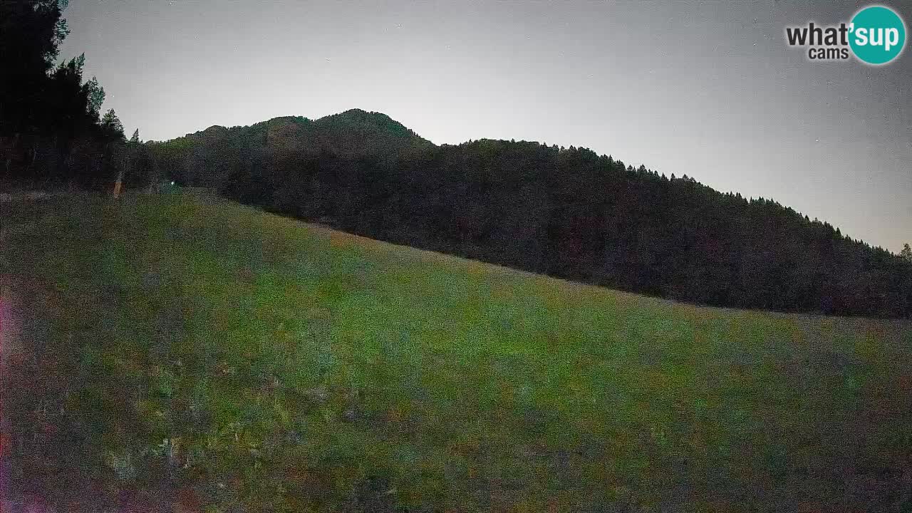 Kranjska Gora SKIJANJE | Brsnina