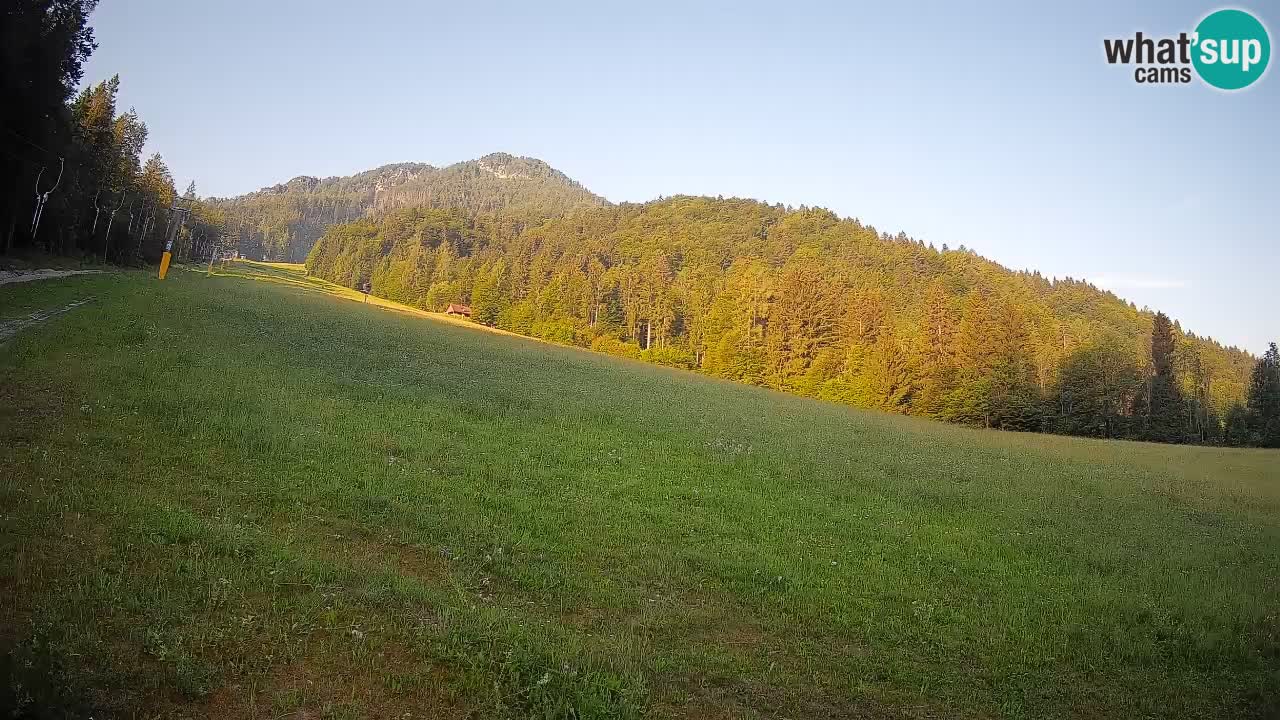 Comprensorio sciistico Kranjska Gora | Brsnina