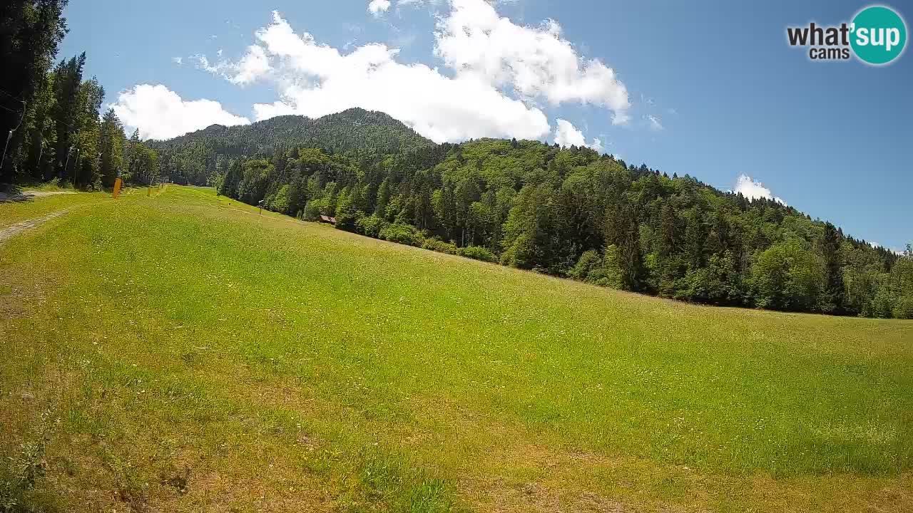 Kranjska Gora SKIJANJE | Brsnina