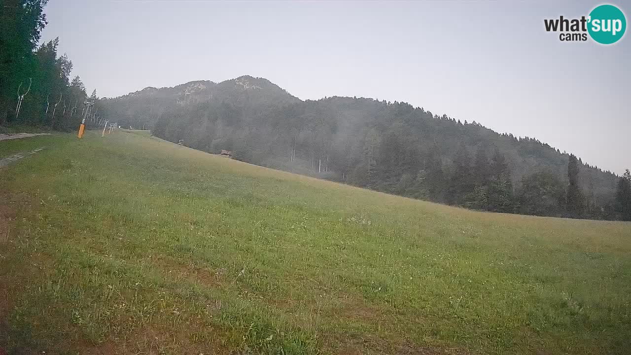 Comprensorio sciistico Kranjska Gora | Brsnina