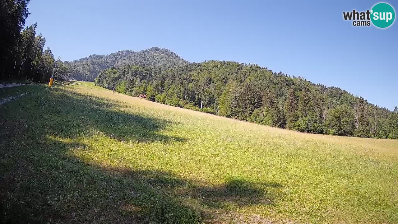 Kranjska Gora SKIJANJE | Brsnina