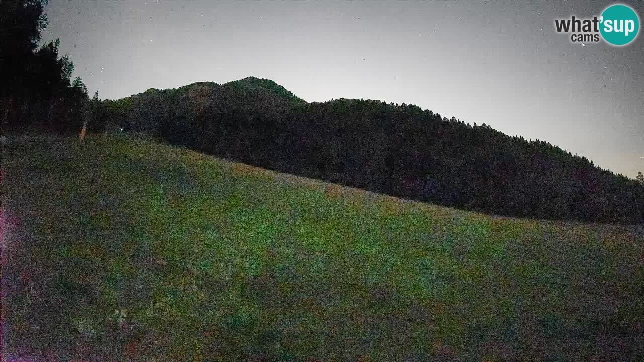 RTC Kranjska Gora | Brsnina
