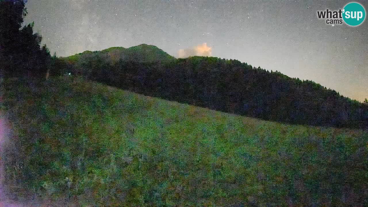 Comprensorio sciistico Kranjska Gora | Brsnina