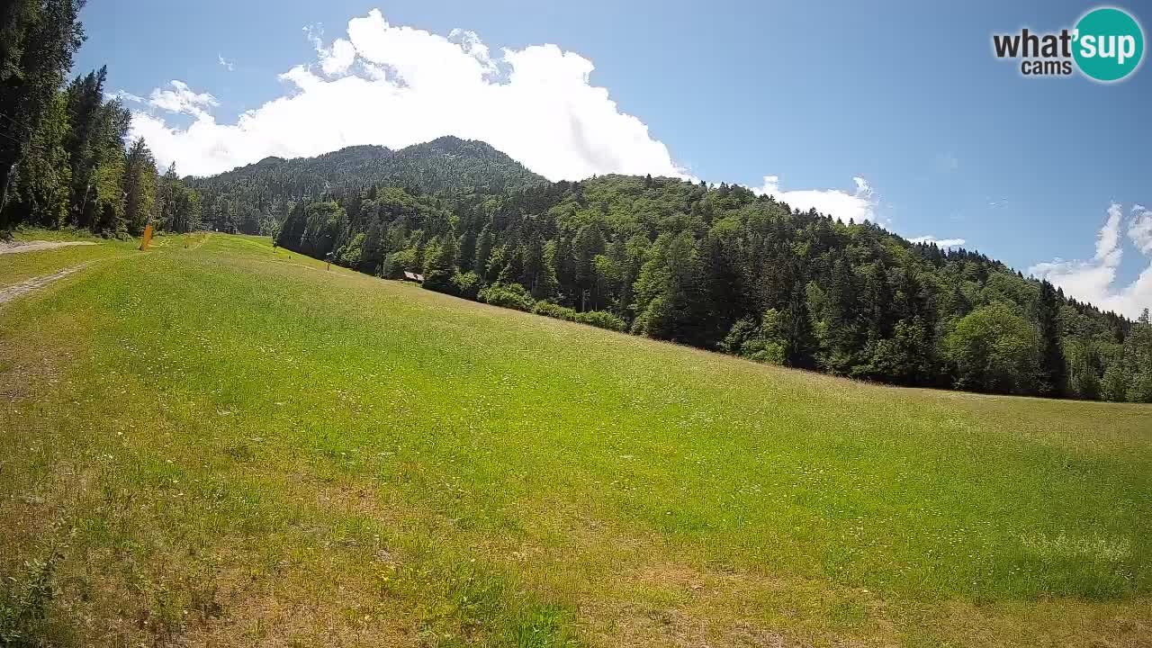 Esquí Kranjska Gora | Brsnina