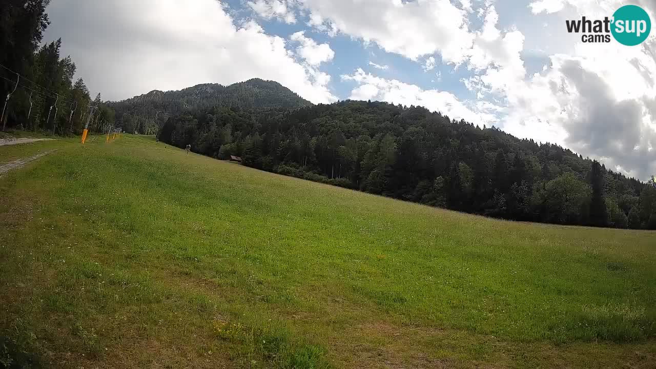 Ski Kranjska Gora | Brsnina