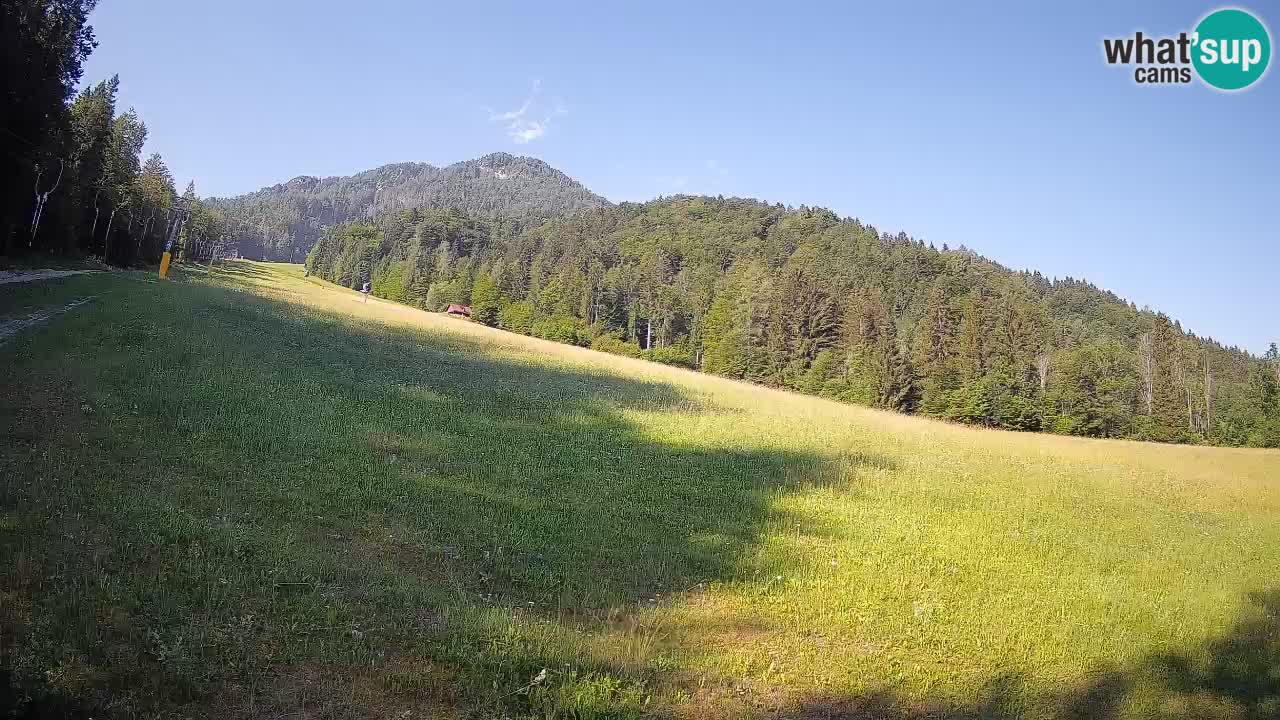 Ski Kranjska Gora | Brsnina