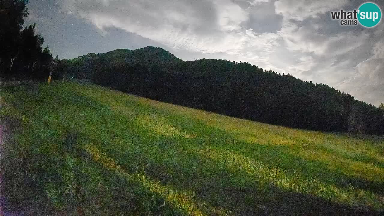 RTC Skigebiet Kranjska Gora | Brsnina