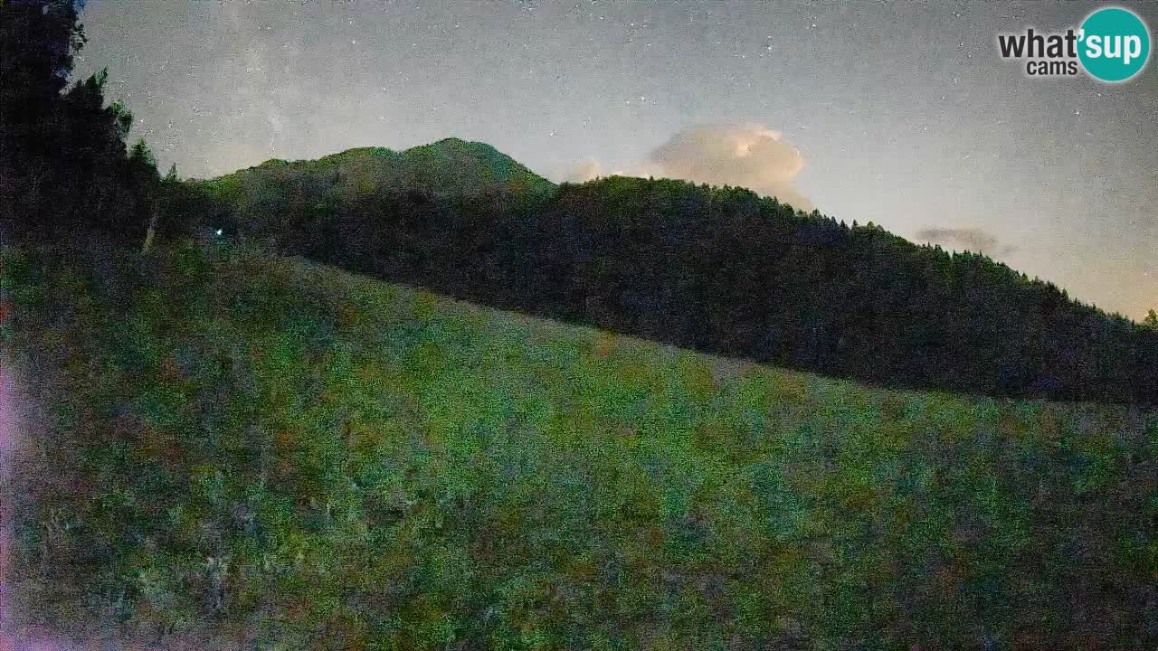 Kranjska Gora Station de ski | Brsnina