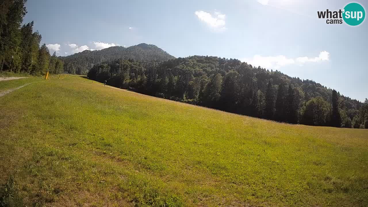 Ski Kranjska Gora | Brsnina