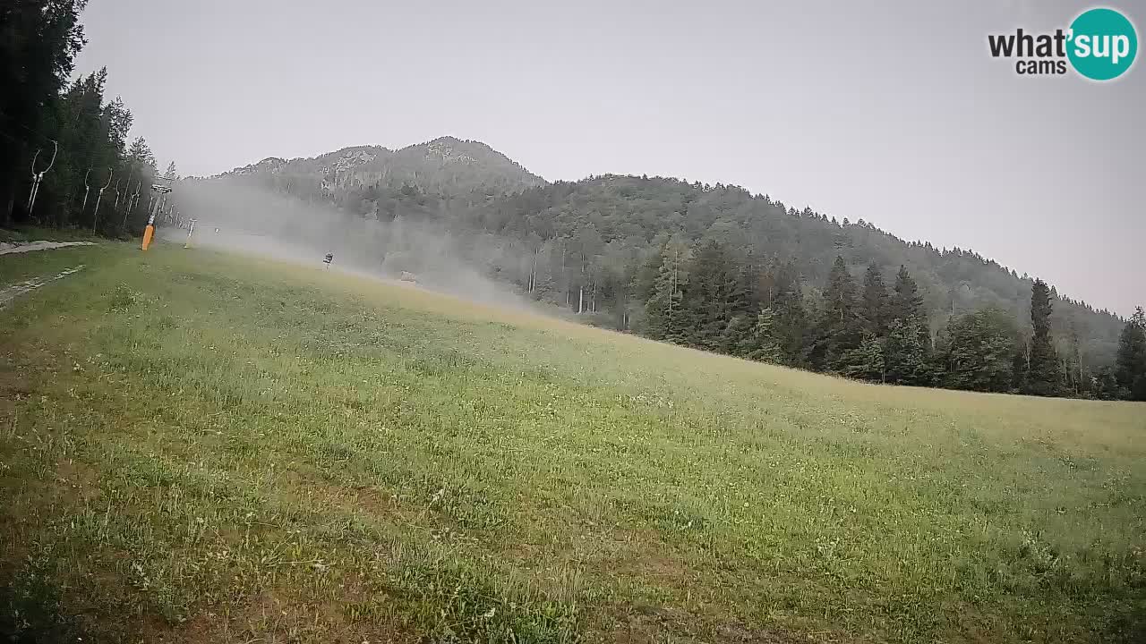 Esquí Kranjska Gora | Brsnina