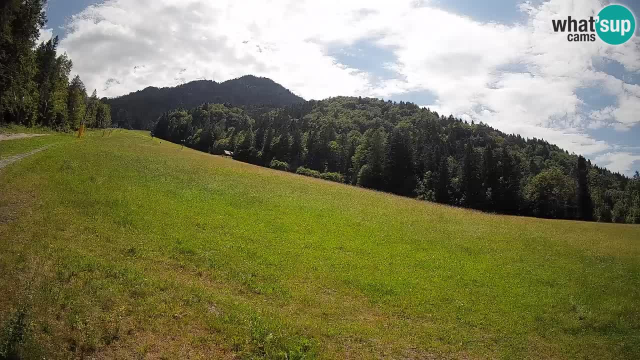 Ski Kranjska Gora | Brsnina