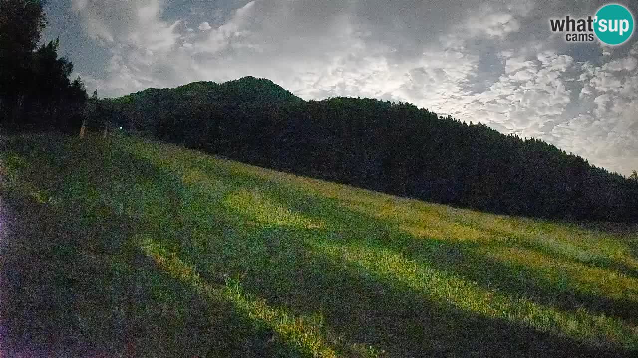 Ski Kranjska Gora | Brsnina