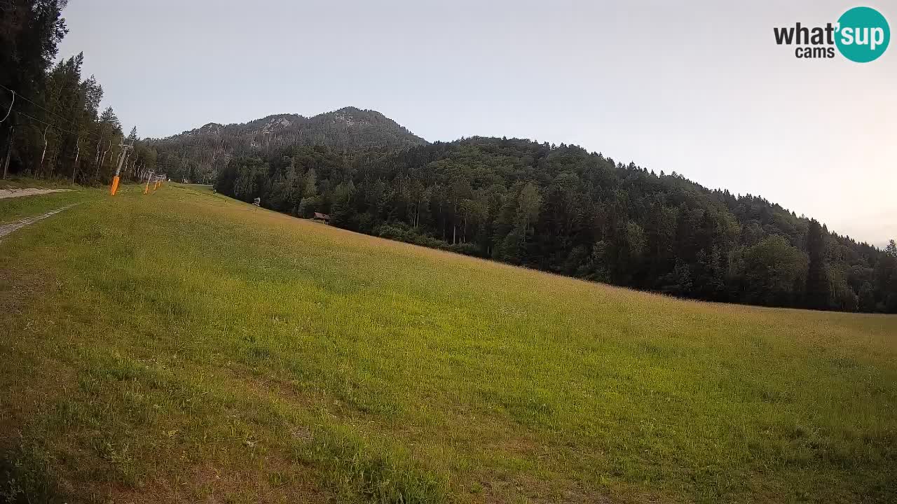 Ski Kranjska Gora | Brsnina