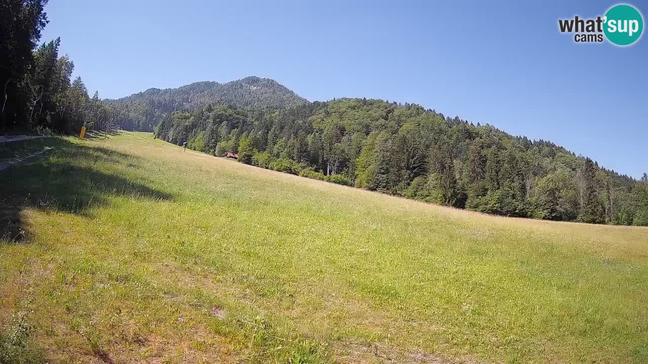RTC Skigebiet Kranjska Gora | Brsnina