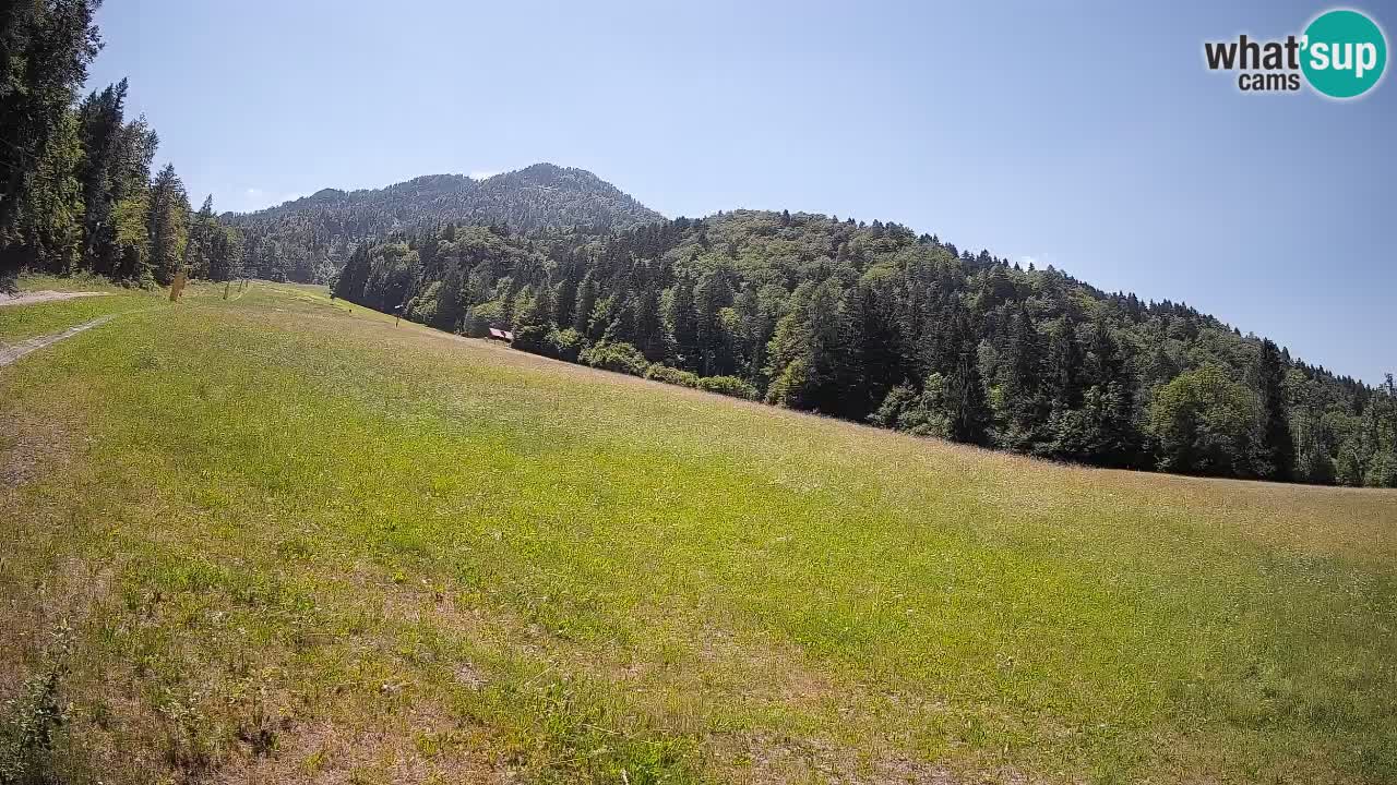 Esquí Kranjska Gora | Brsnina