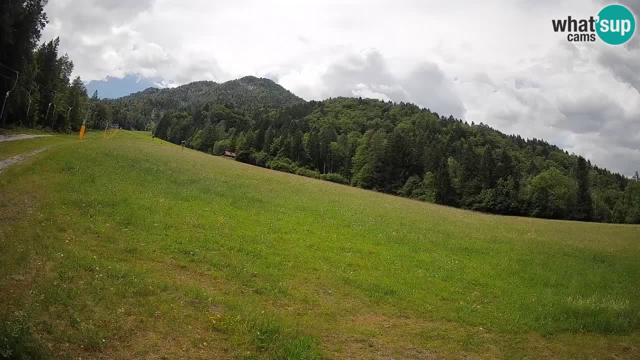 Ski Kranjska Gora | Brsnina