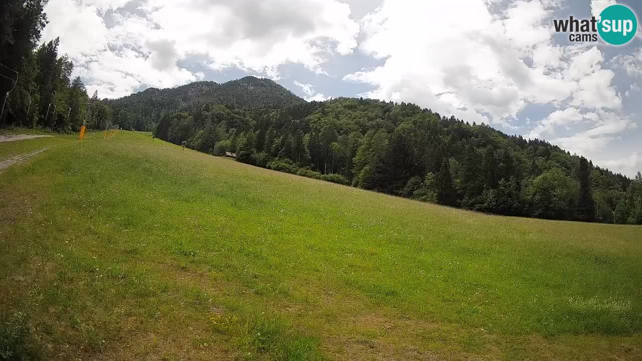 Ski Kranjska Gora | Brsnina