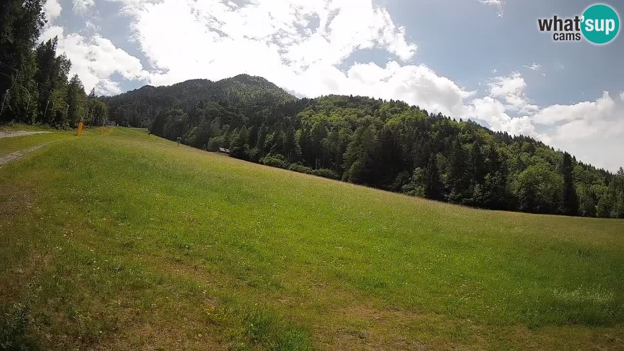 Ski Kranjska Gora | Brsnina