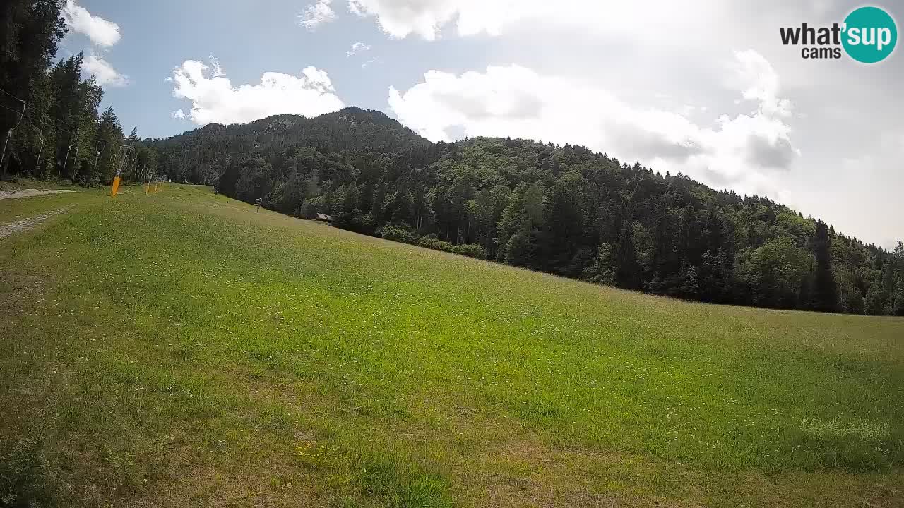 Ski Kranjska Gora | Brsnina