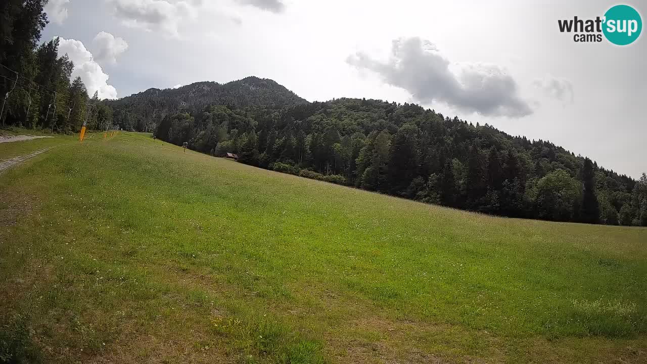 Comprensorio sciistico Kranjska Gora | Brsnina