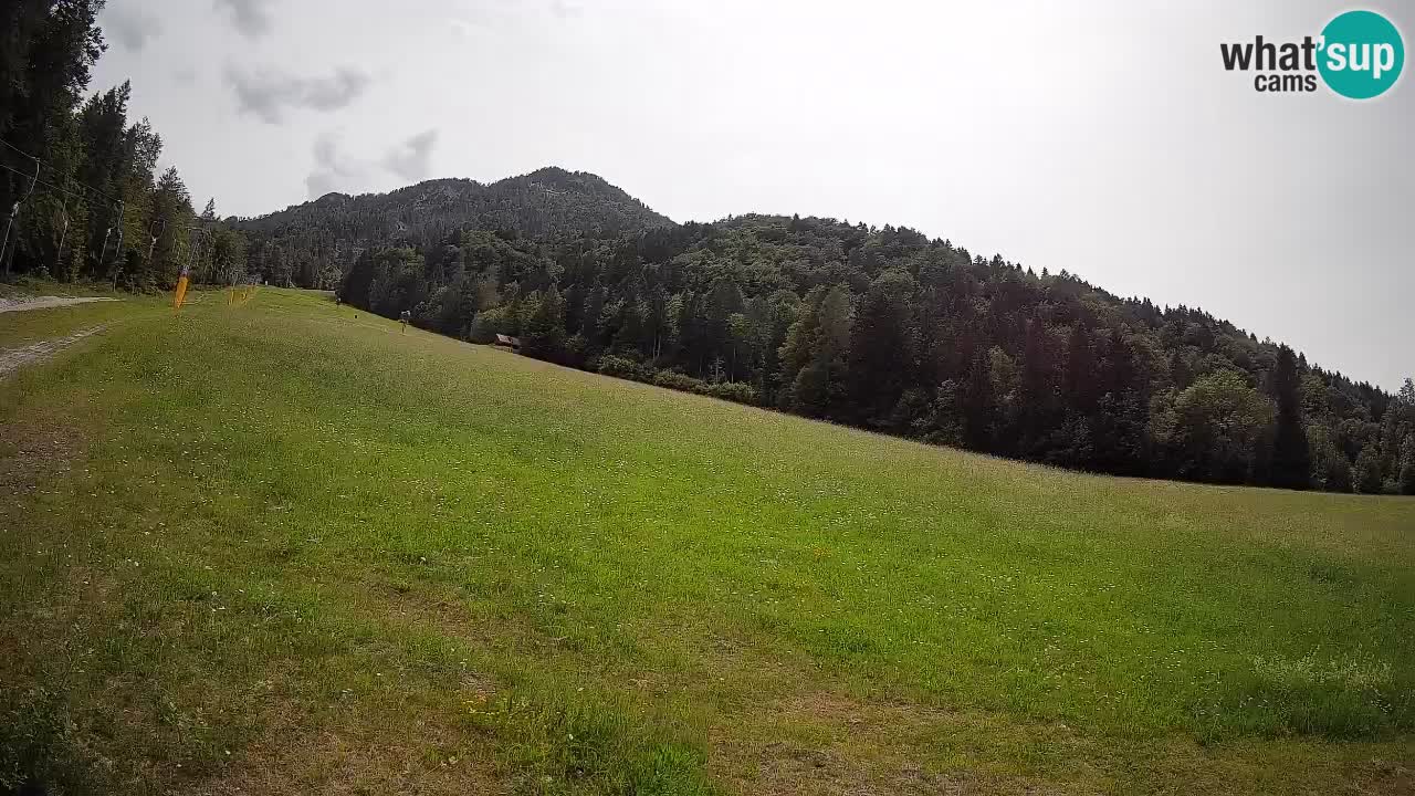 Ski Kranjska Gora | Brsnina