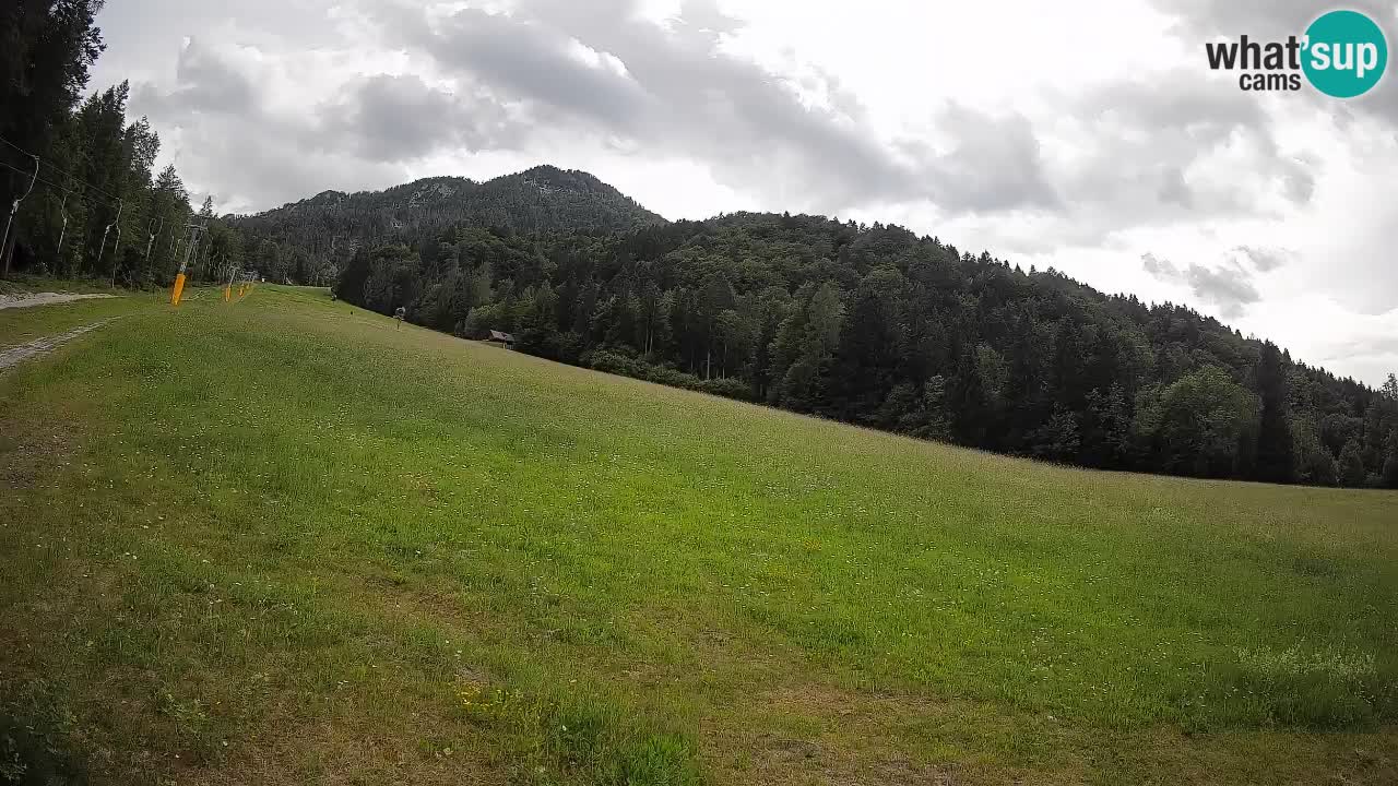 Kranjska Gora Station de ski | Brsnina