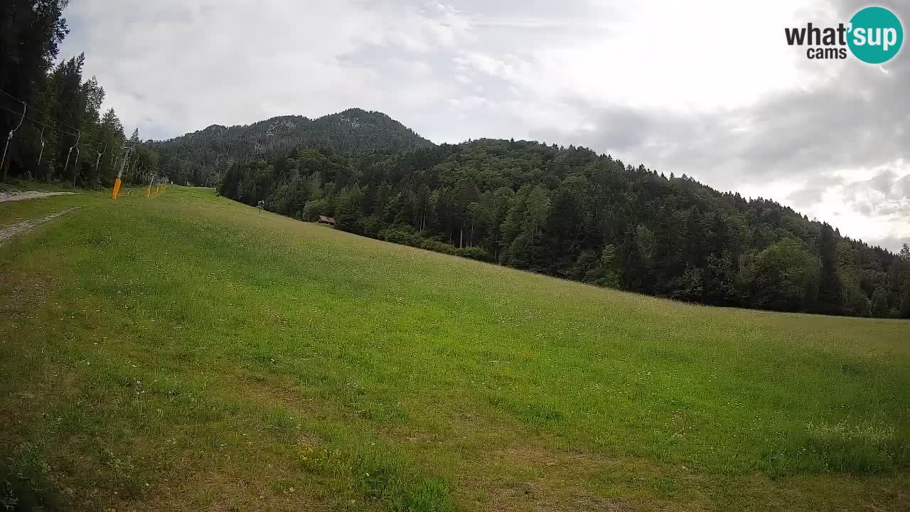 Ski Kranjska Gora | Brsnina