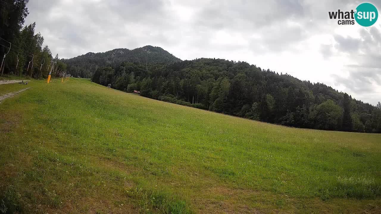 Ski Kranjska Gora | Brsnina