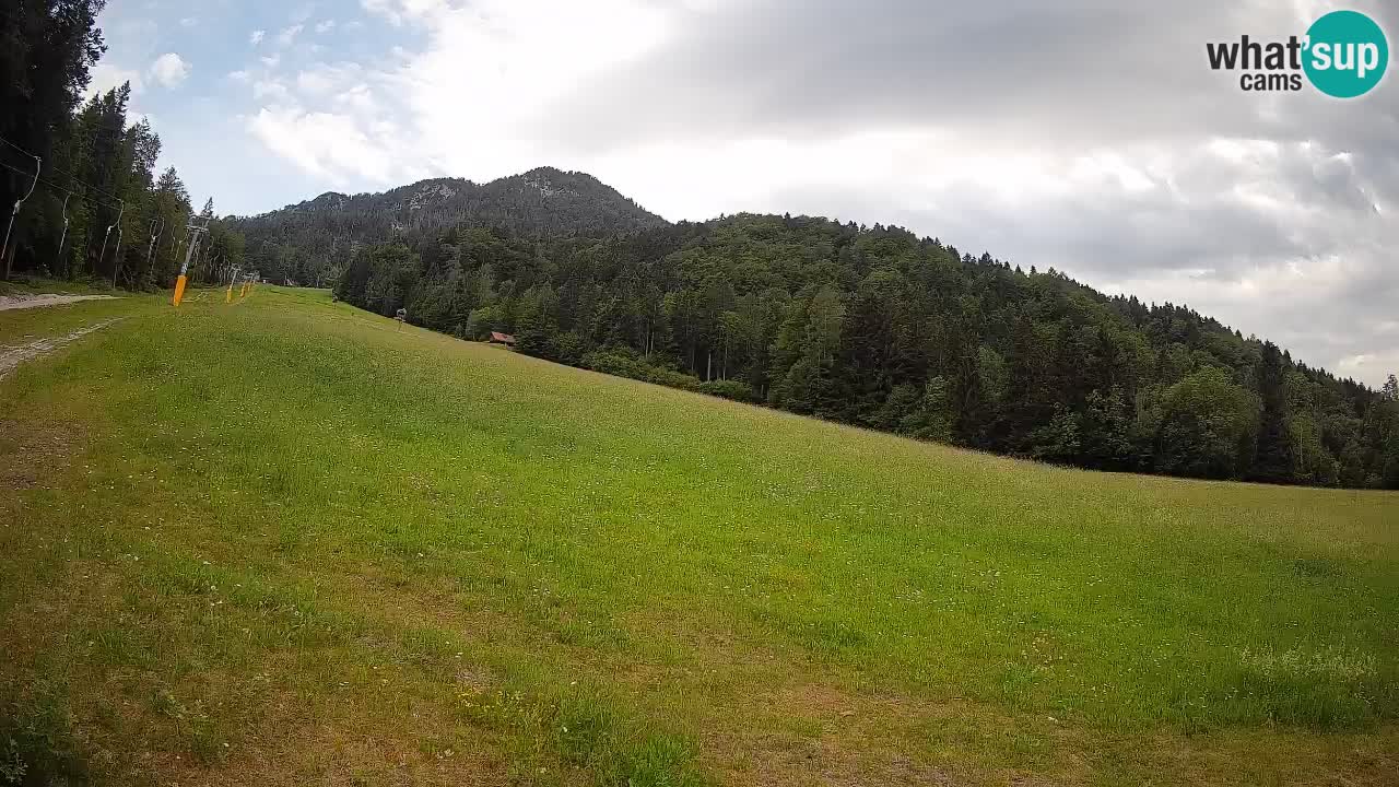 Kranjska Gora SKIJANJE | Brsnina