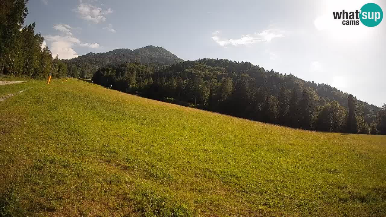 RTC Kranjska Gora | Brsnina