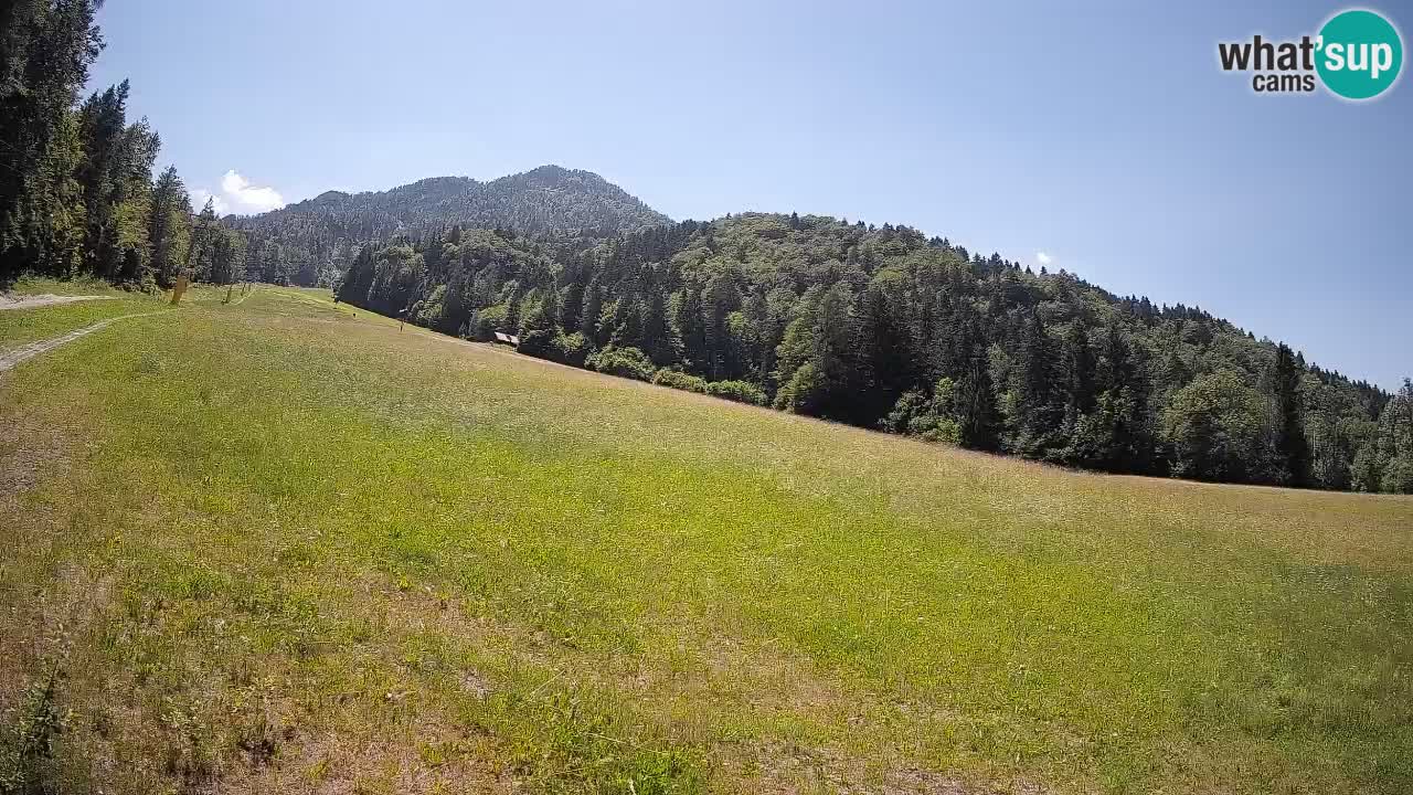 RTC Kranjska Gora | Brsnina