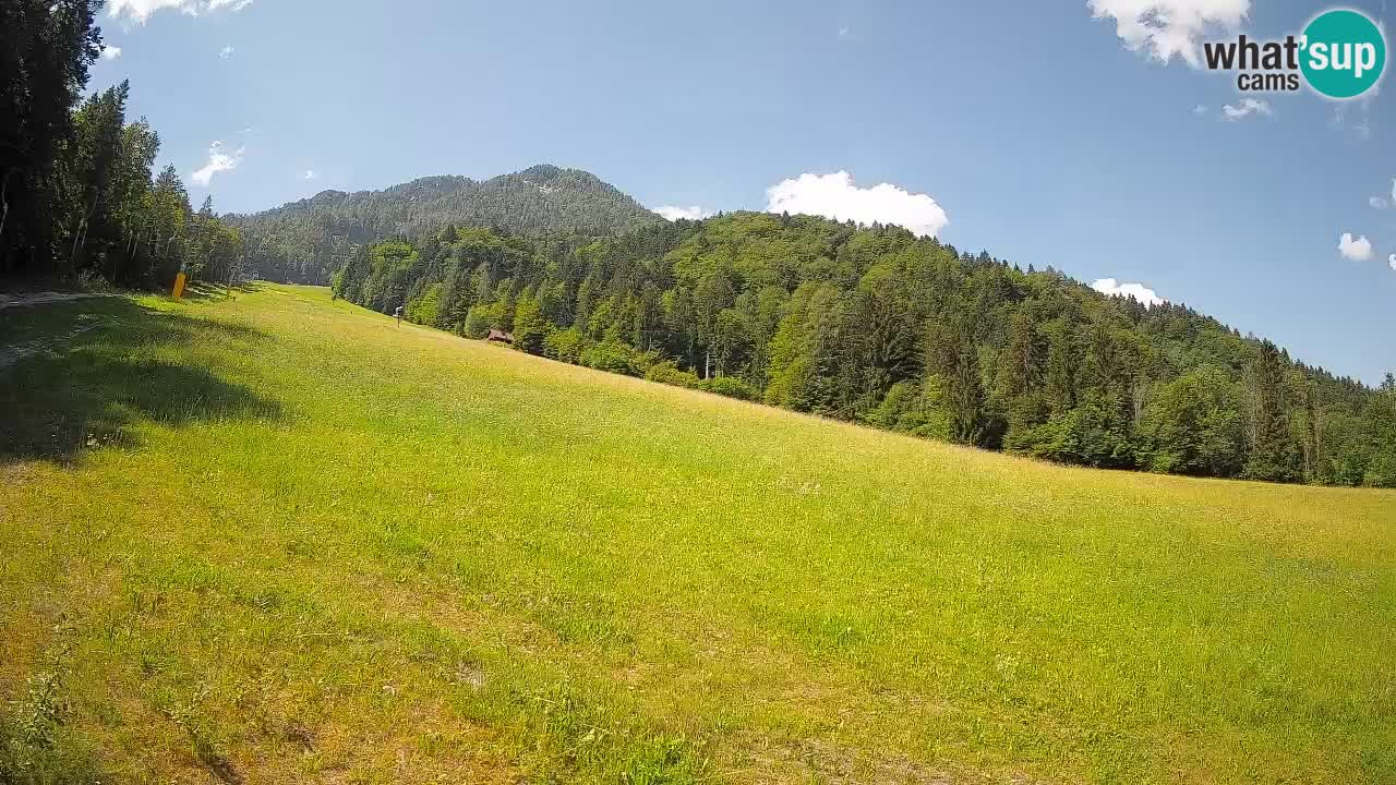 Esquí Kranjska Gora | Brsnina