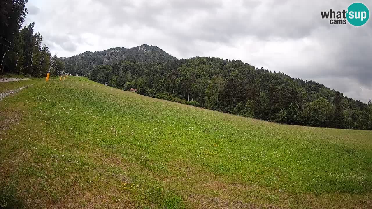 Kranjska Gora SKIJANJE | Brsnina