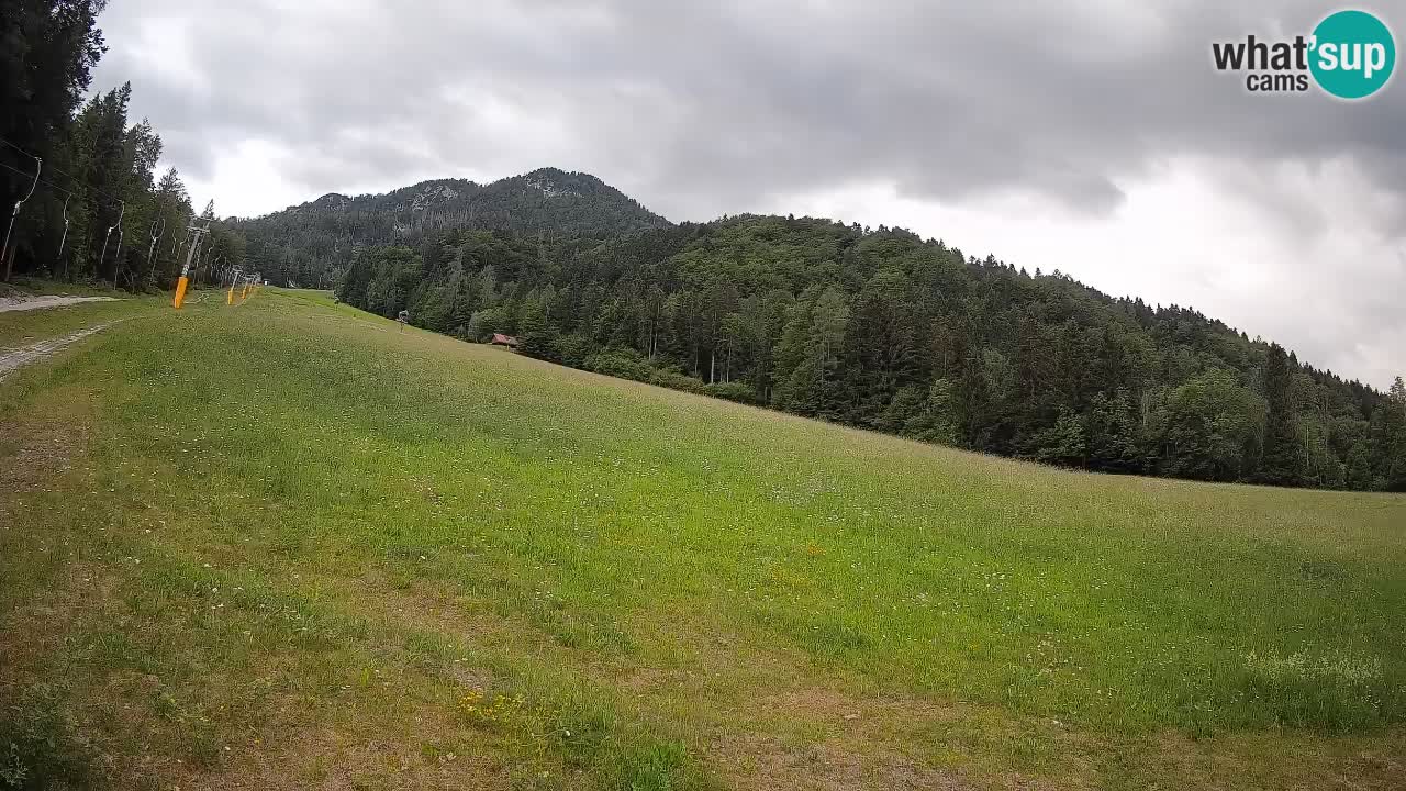 Kranjska Gora SKIJANJE | Brsnina