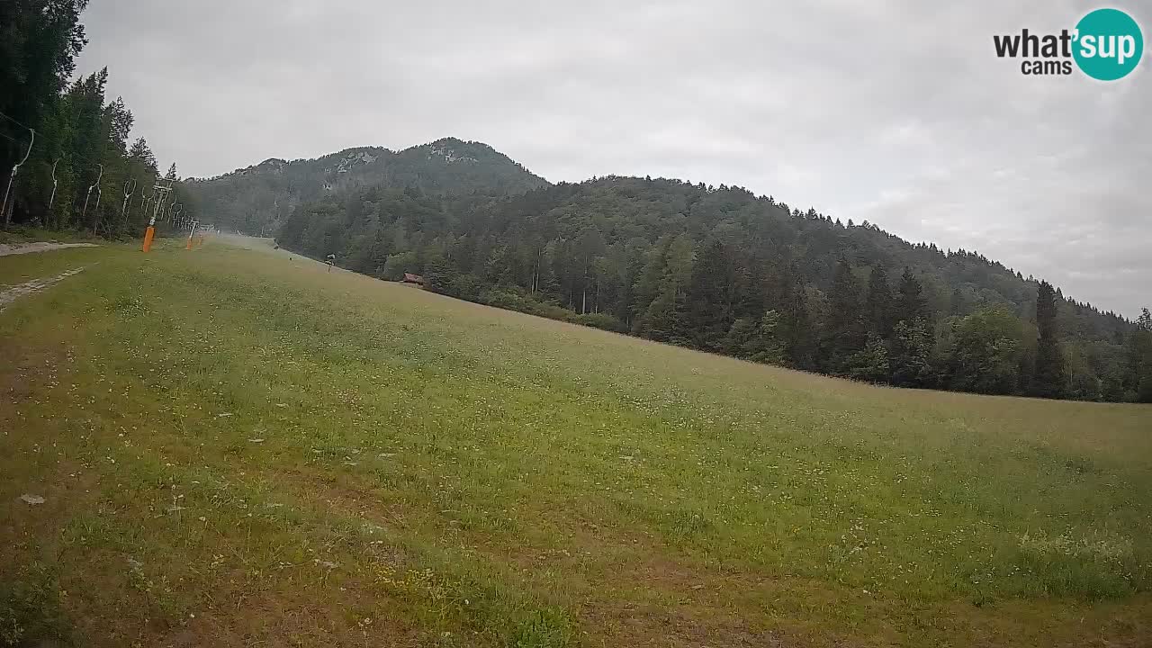RTC Kranjska Gora | Brsnina