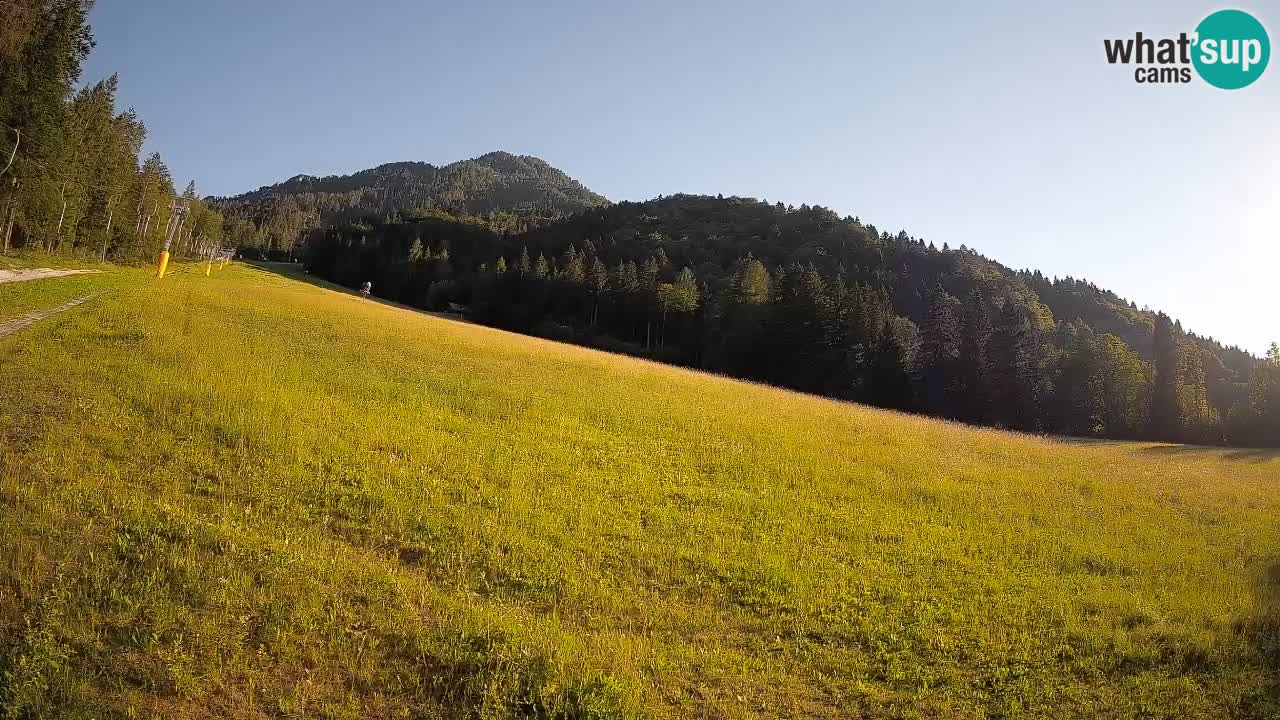 Ski Kranjska Gora | Brsnina