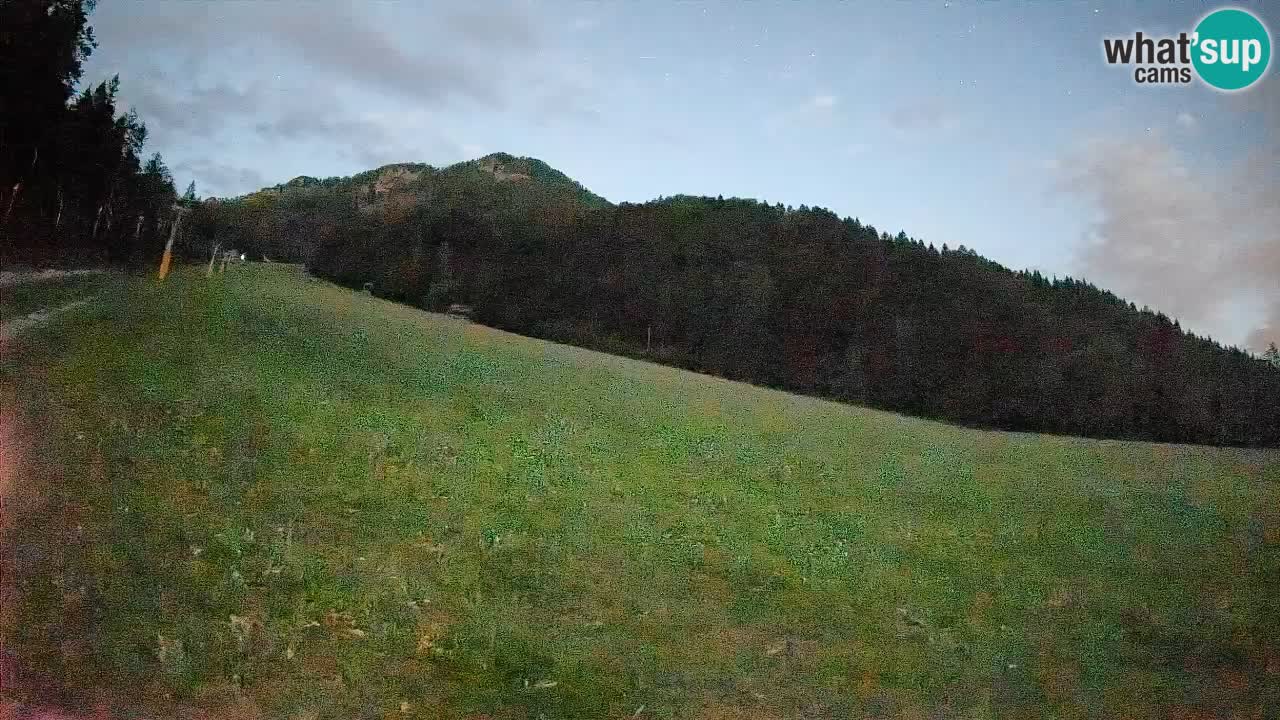 Ski Kranjska Gora | Brsnina