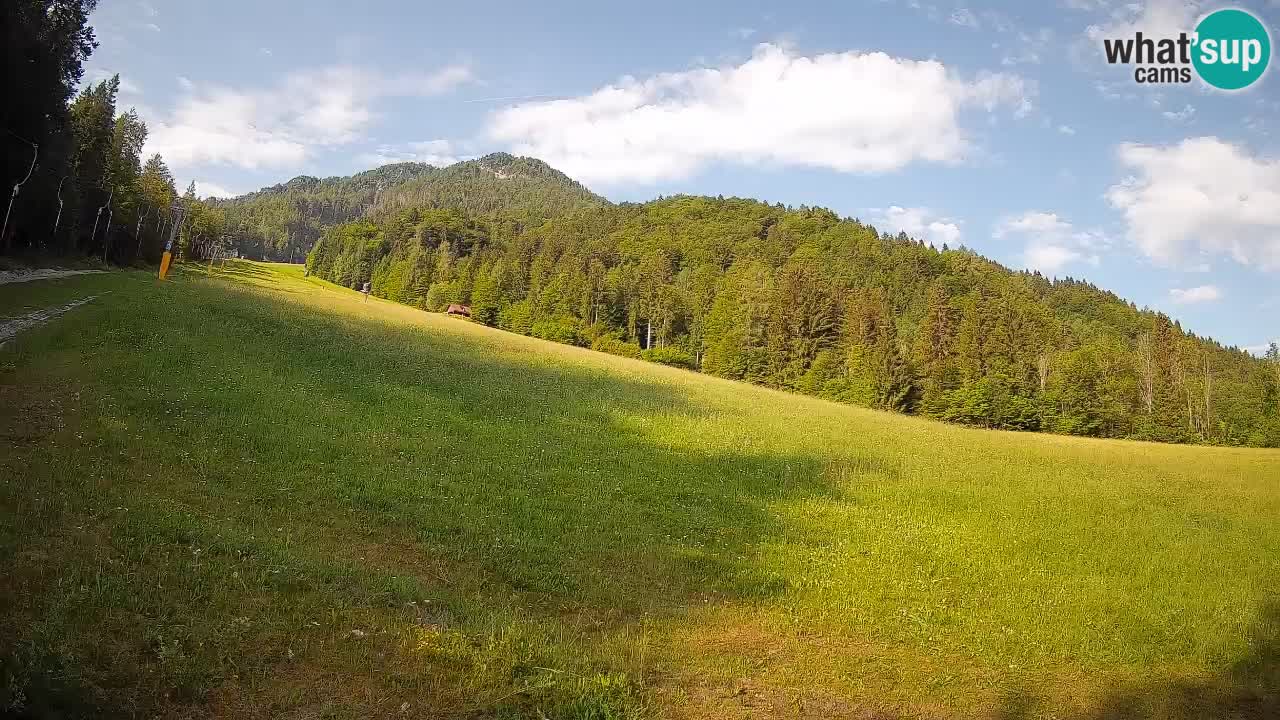 Ski Kranjska Gora | Brsnina