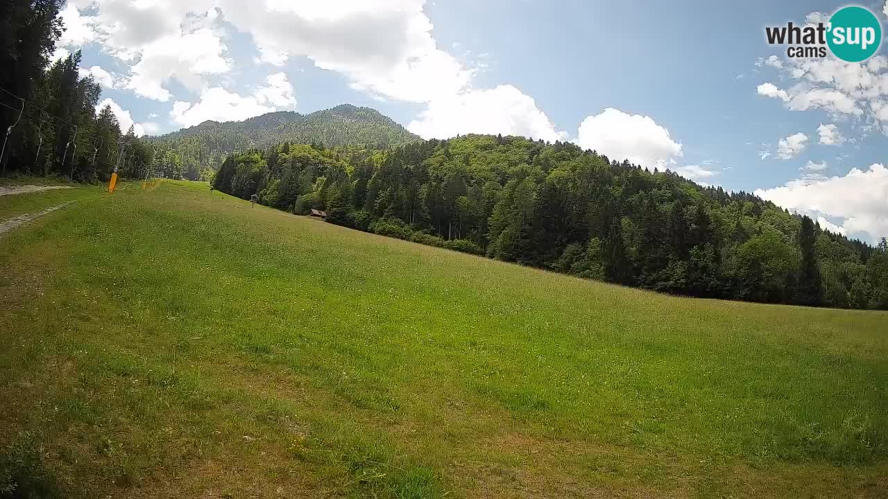 Kranjska Gora Station de ski | Brsnina