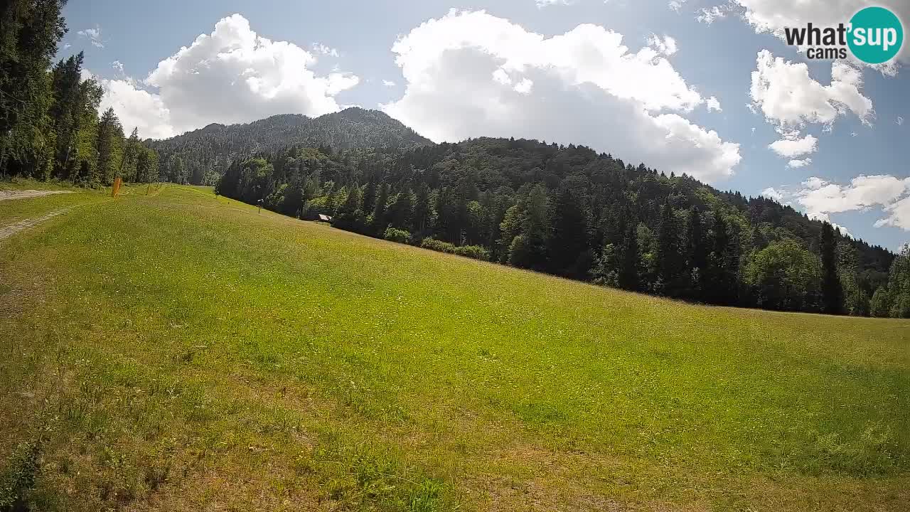 Kranjska Gora Station de ski | Brsnina