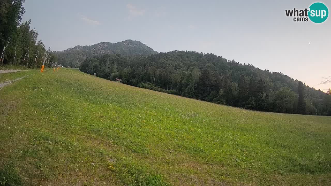Kranjska Gora Station de ski | Brsnina