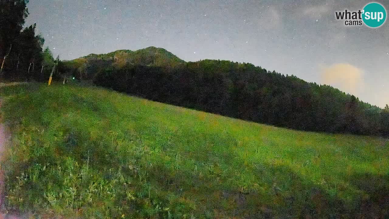 Esquí Kranjska Gora | Brsnina
