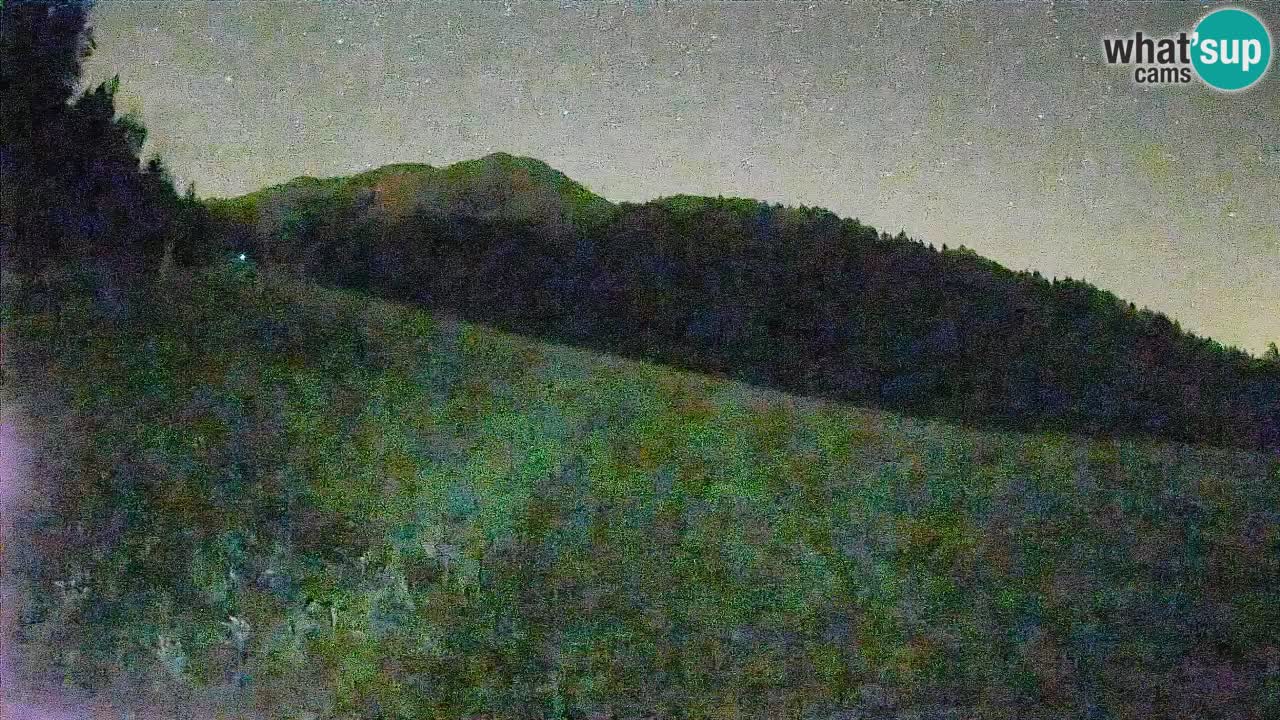Esquí Kranjska Gora | Brsnina