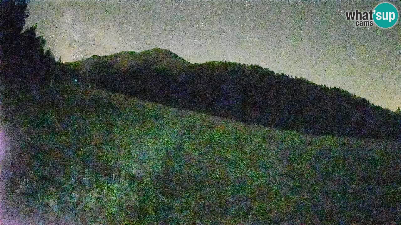 Esquí Kranjska Gora | Brsnina
