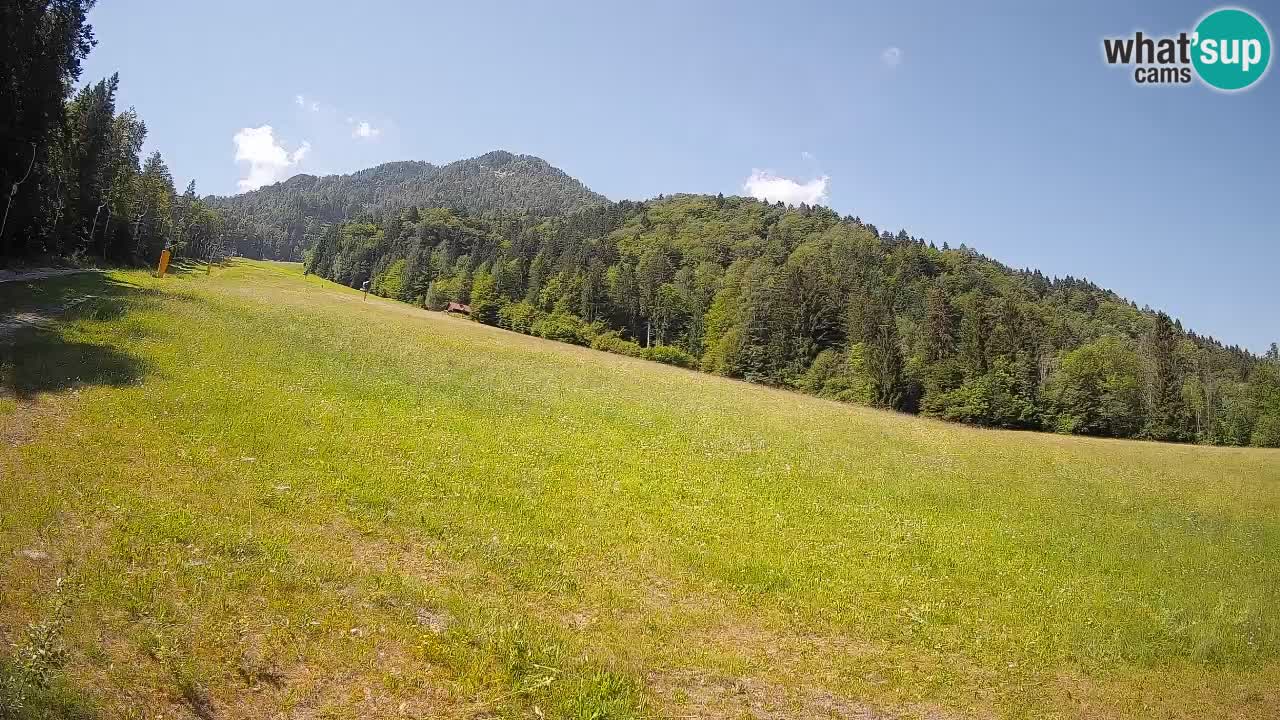 Ski Kranjska Gora | Brsnina